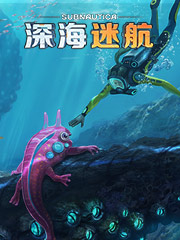 便宜的长裙